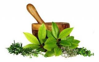 Category01-1 grinder with leaf