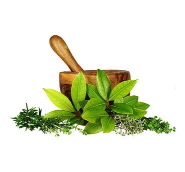 Category01-1 grinder with leaf