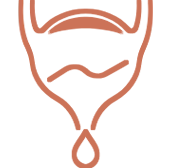Incontinence & Bladder Health