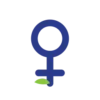 Women's Health