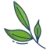 tea-leaf